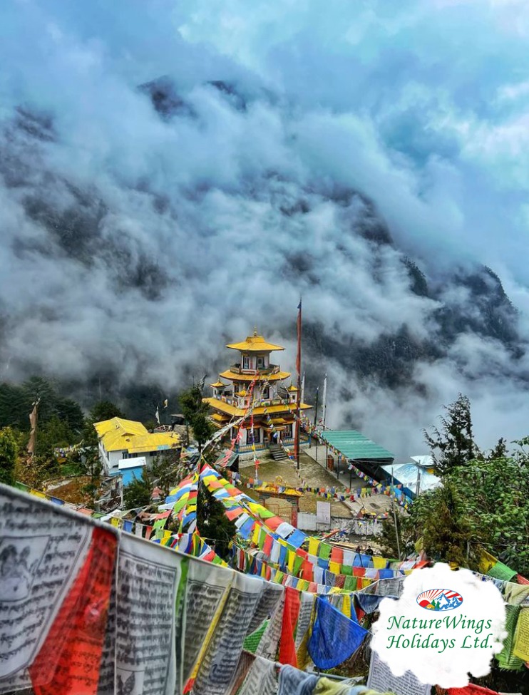Best Tawang Tour Packages – Discover Mountains, Monasteries & Lakes
