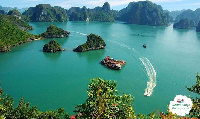 Vietnam Tour Package from Kolkata to Discover Vietnam’s Culture