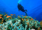 Andaman Tour Package from Kolkata to Experience the Islands Your Way