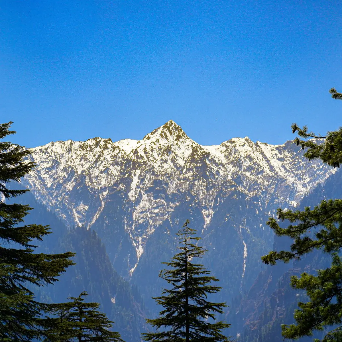 Travel Viewpoint